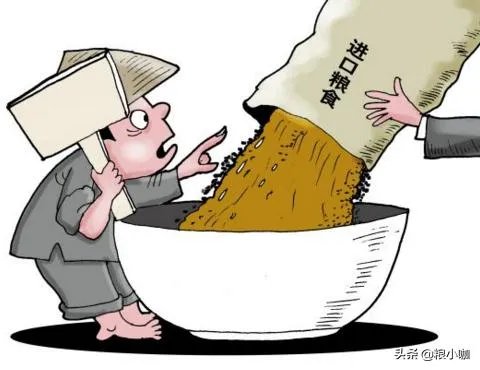 受疫情影响，已有国家禁止出口粮食，你怎么看？