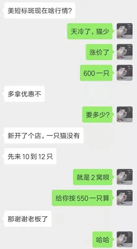 宠物用品货源在哪儿找