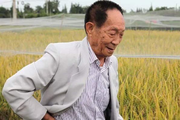 袁隆平团队创盐碱地水稻高产新纪录！他还破过哪些记录？