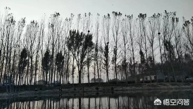 哪里有比较幽静的钓鱼的地方？