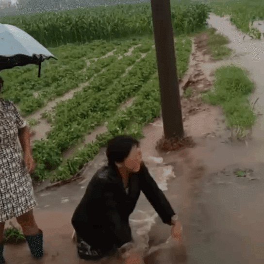 张泽群怒批河南卫视七夕奇妙夜节目,究竟惹住了谁?