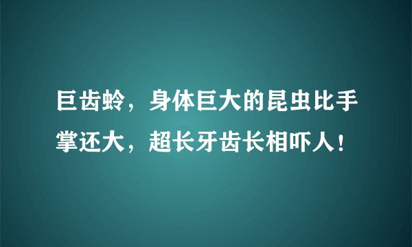 巨齿蛉，身体巨大的昆虫比手掌还大，超长牙齿长相吓人！