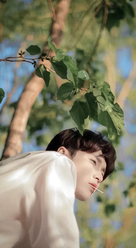 第28届《东方风云榜》,张艺兴连拿4个奖项,他究竟是凭什么作品获奖的?