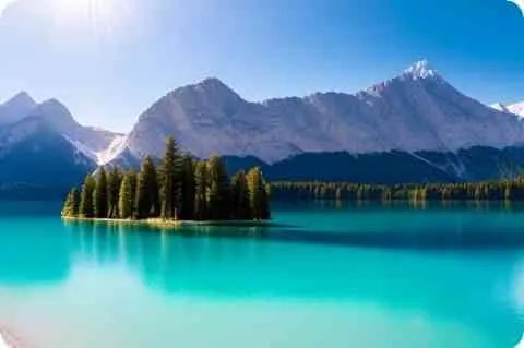 七 ... 有制化为权