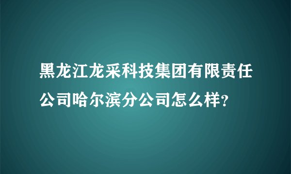 黑龙江龙采科技集团有限责任公司哈尔滨分公司怎么样？