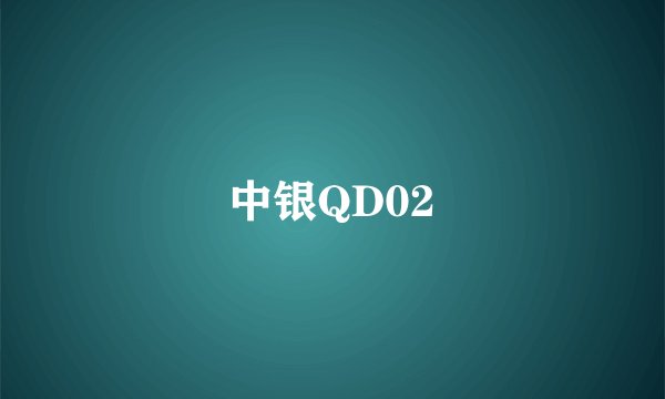 中银QD02