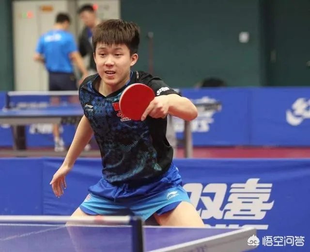 2020卡塔尔公开赛男子单打种子选手都有谁，樊振东、许昕、马龙是几号种子？