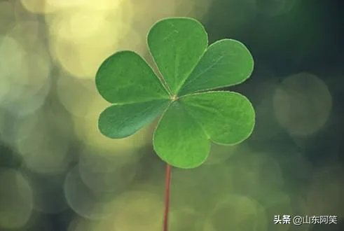 有什么惊艳的句子？