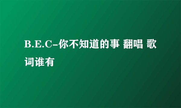 B.E.C-你不知道的事 翻唱 歌词谁有