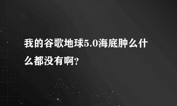 我的谷歌地球5.0海底肿么什么都没有啊？