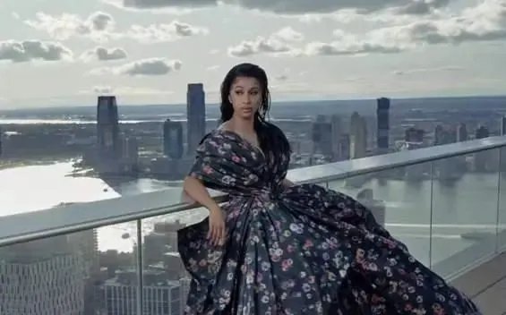 美国说唱女歌手麻辣鸡官宣怀二胎，网友给其送上了怎样的祝福？