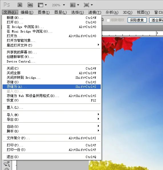 用什么软件能把大尺寸的照片变成小尺寸了照片