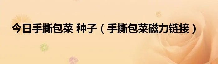 今日手撕包菜 种子（手撕包菜磁力链接）