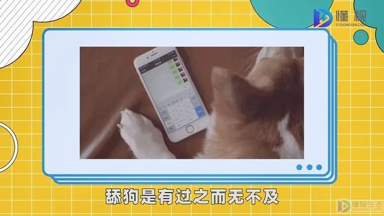 舔狗是什么意思呢