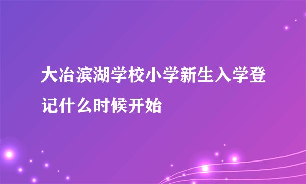 大冶滨湖学校小学新生入学登记什么时候开始