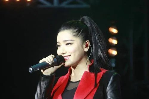 江映蓉和吴磊里程被盗事件，盗窃者是否会受到处罚？