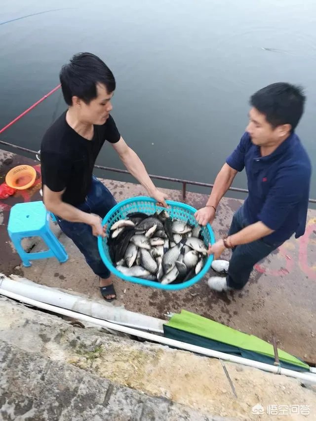 哪里有比较幽静的钓鱼的地方？