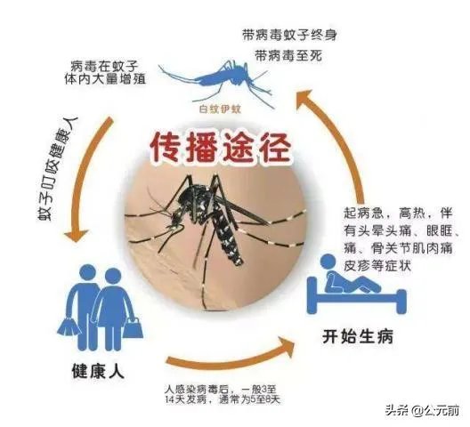 如何看待安徽通报1例登革热病例，曾有印度、缅甸、巴基斯坦等国旅居史？居民如何做好防护？