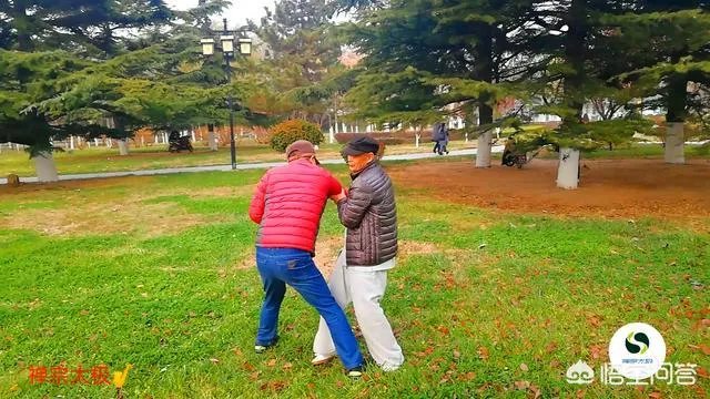 如何评价太极推手？