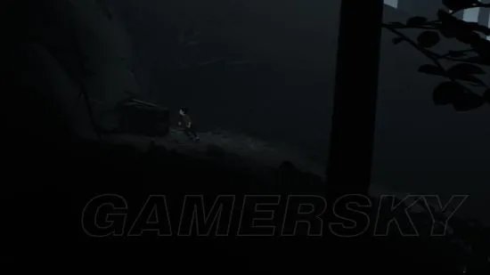 playdead inside实际含义（全收集解谜流程图文攻略）