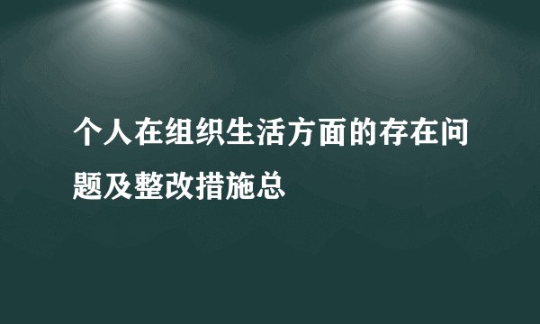 个人在组织生活方面的存在问题及整改措施总
