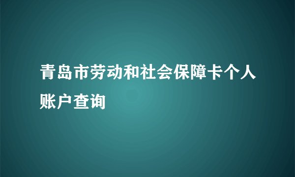 青岛市劳动和社会保障卡个人账户查询