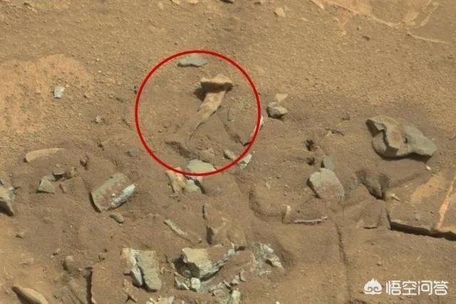 传闻月球三眼女尸是真是假,如果真的。那将说明什么?