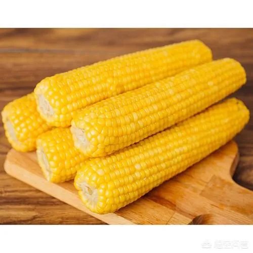 在忻州种什么品种的玉米比较好？