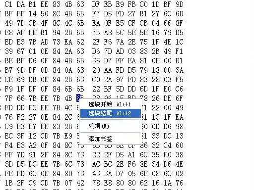 狂派入门: Winhex的使用教程