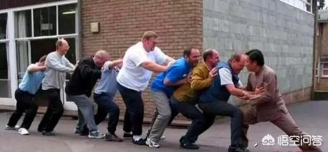 如何评价太极推手？