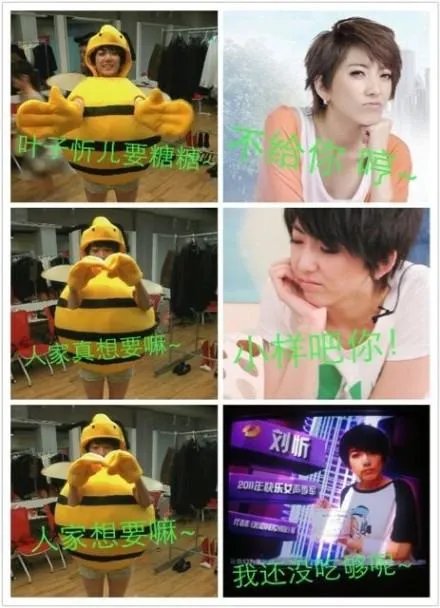 关于刘忻的图片，谁有这种的，多给我几张