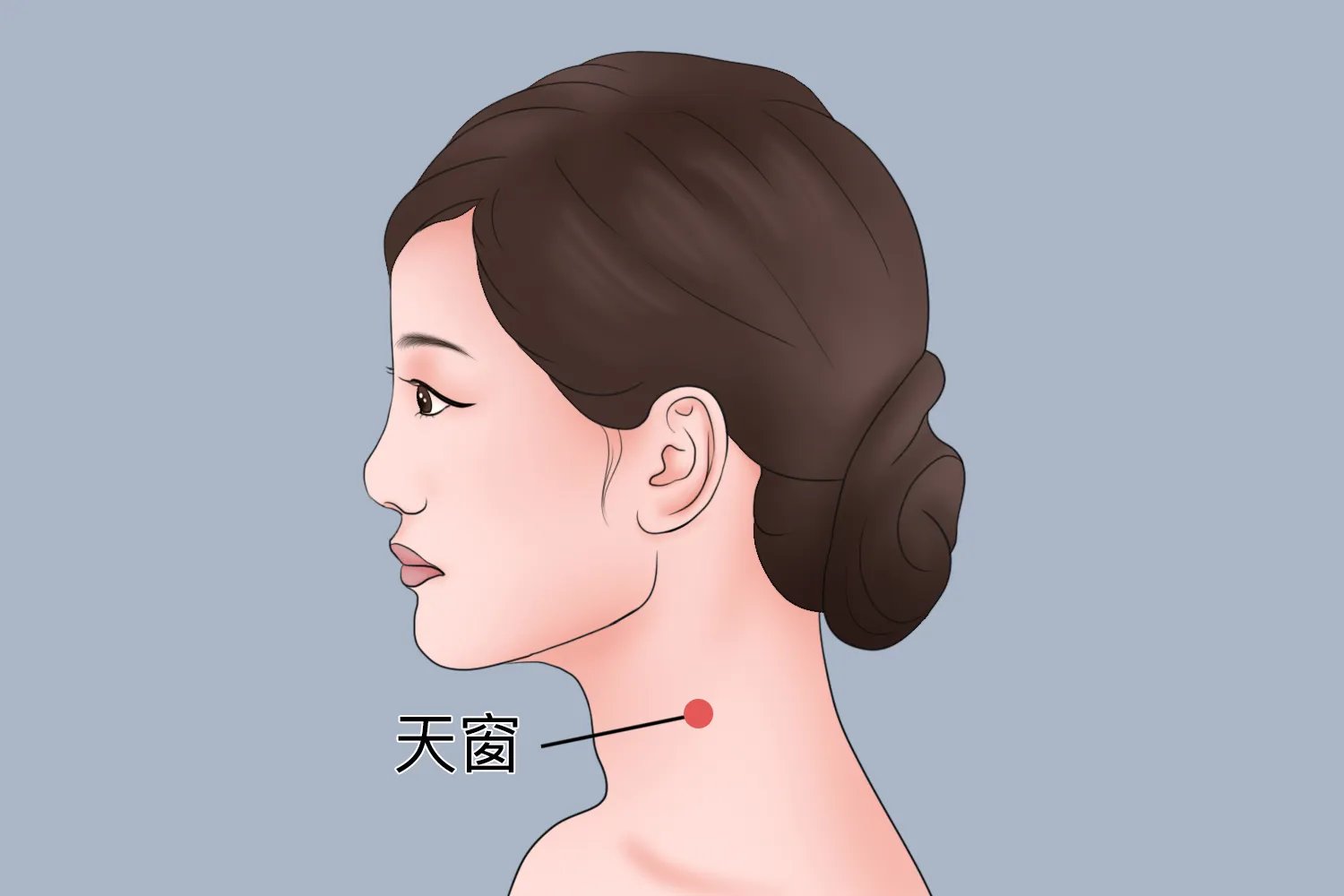 天窗的准确位置图片和功效