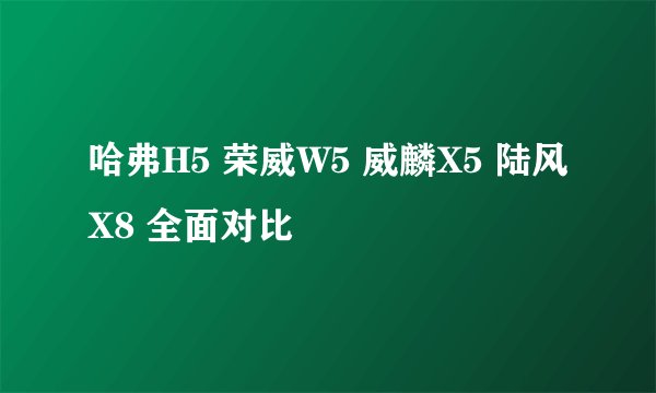 哈弗H5 荣威W5 威麟X5 陆风X8 全面对比