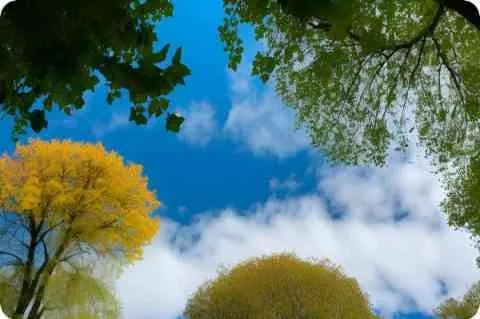 传奇世界内挂数据包