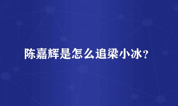 陈嘉辉是怎么追梁小冰？