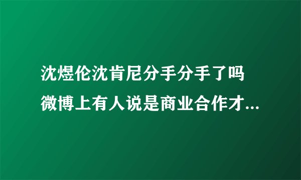 沈煜伦沈肯尼分手分手了吗 微博上有人说是商业合作才暂时在一起的