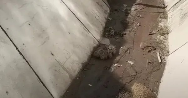 兰州野生动物园的一辆观光车侧翻，多人掉下深沟，目前救援情况如何？