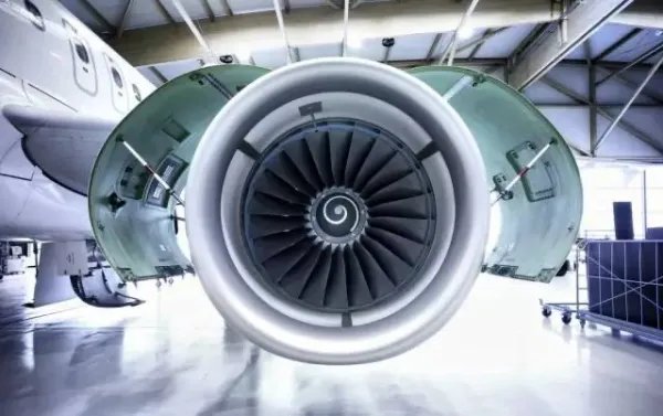 一旅客向飞机扔硬币祈福致航班取消!该乘客的行为有多危险?