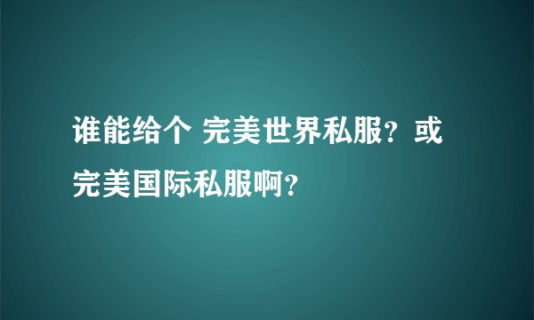 谁能给个 完美世界私服？或 完美国际私服啊？