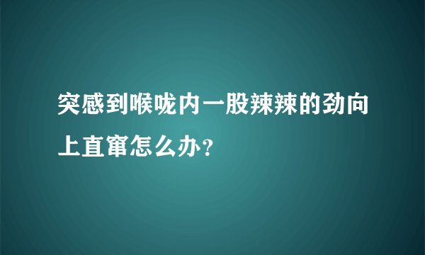 突感到喉咙内一股辣辣的劲向上直窜怎么办？