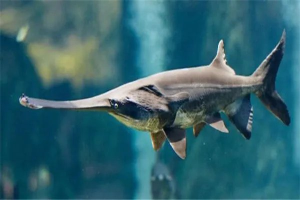 2020年重大新闻事件10条：有痛心也有骄傲，西昌森林火灾上榜