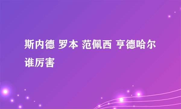 斯内德 罗本 范佩西 亨德哈尔谁厉害