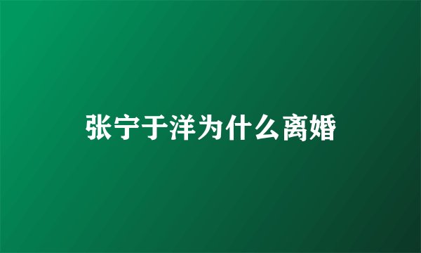 张宁于洋为什么离婚