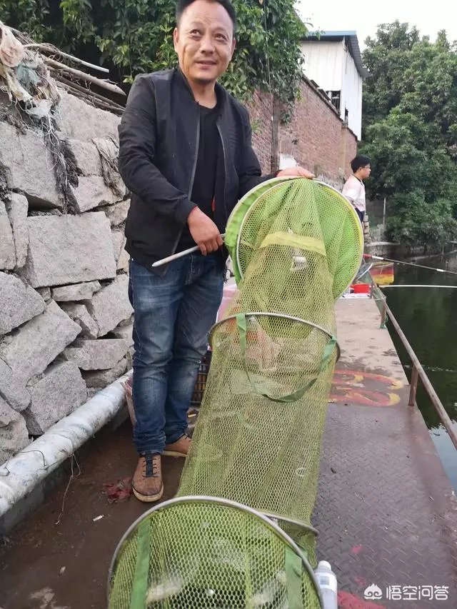 哪里有比较幽静的钓鱼的地方？