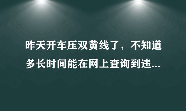 昨天开车压双黄线了，不知道多长时间能在网上查询到违章记录？