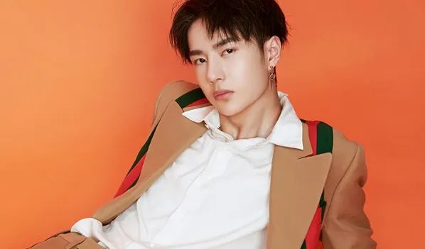 汪涵如何评价王一博？