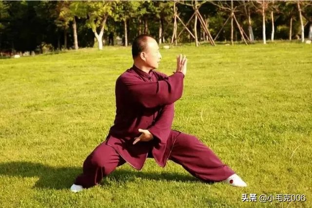 如何评价太极推手？