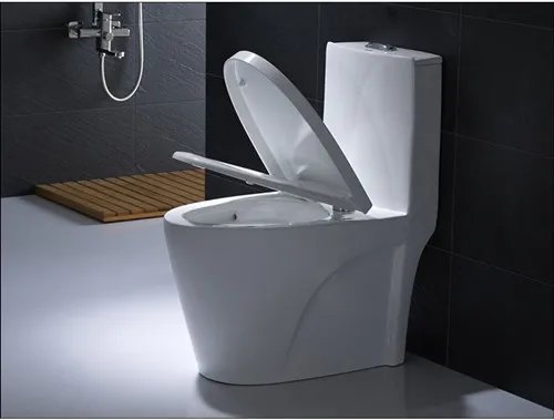 抽水马桶结构图 抽水马桶的清洁保养