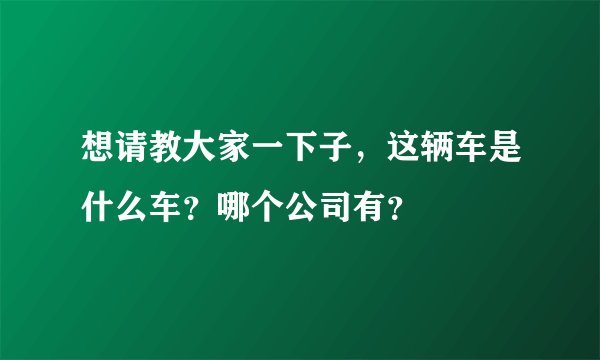 想请教大家一下子，这辆车是什么车？哪个公司有？