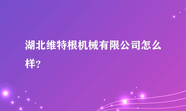 湖北维特根机械有限公司怎么样？